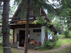 Domek w lesie z saun i kominkiem nad jeziorem Wierzchowo
