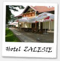 Hotel Zalesie